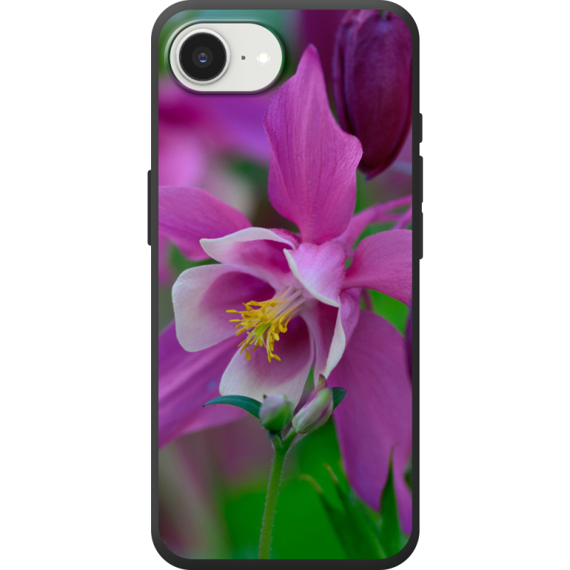 Чохол BoxFace Apple iPhone 17e 