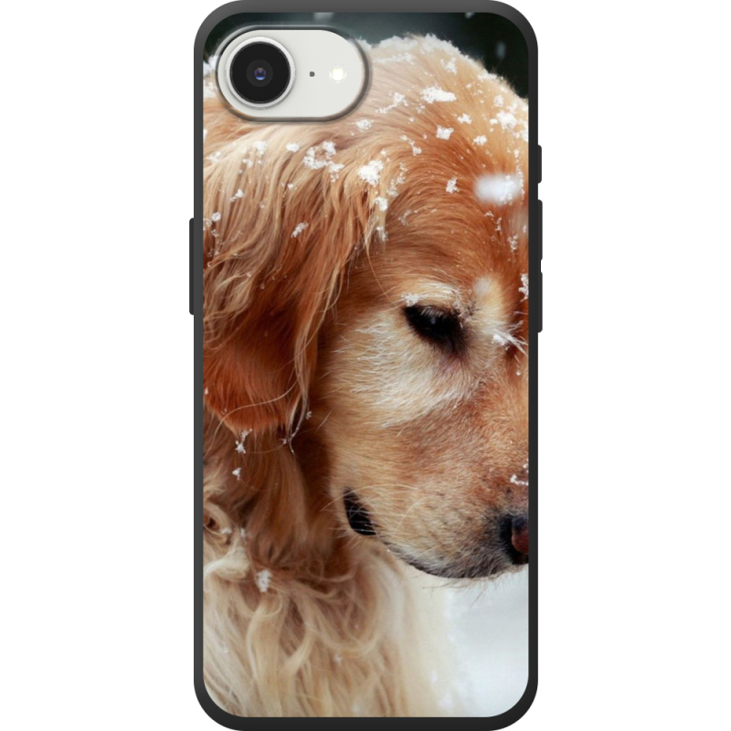 Чохол BoxFace Apple iPhone 17e Golden Retriever