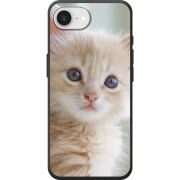 Чохол BoxFace Apple iPhone 17e Animation Kittens