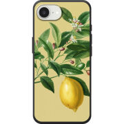 Чохол BoxFace Apple iPhone 17e 