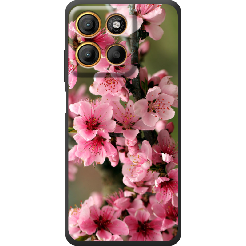 Чохол BoxFace Motorola Edge 60 Neo Вишневые Цветы