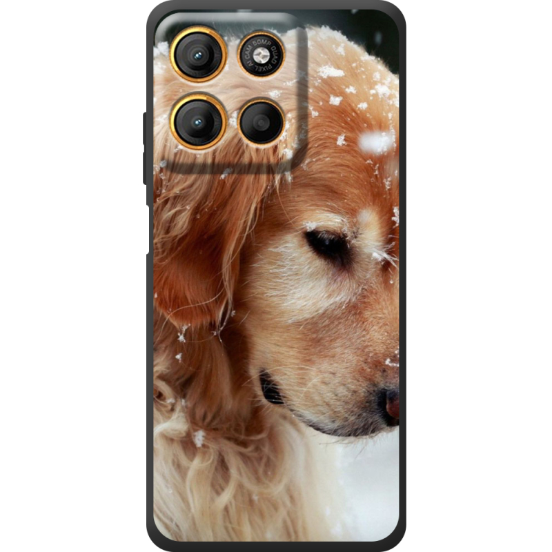 Чохол BoxFace Motorola Edge 60 Neo Golden Retriever