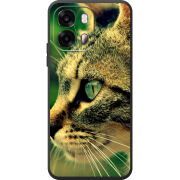 Чохол BoxFace OPPO A6s 4G 