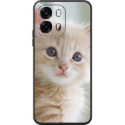 Чохол BoxFace OPPO A6s 4G Animation Kittens