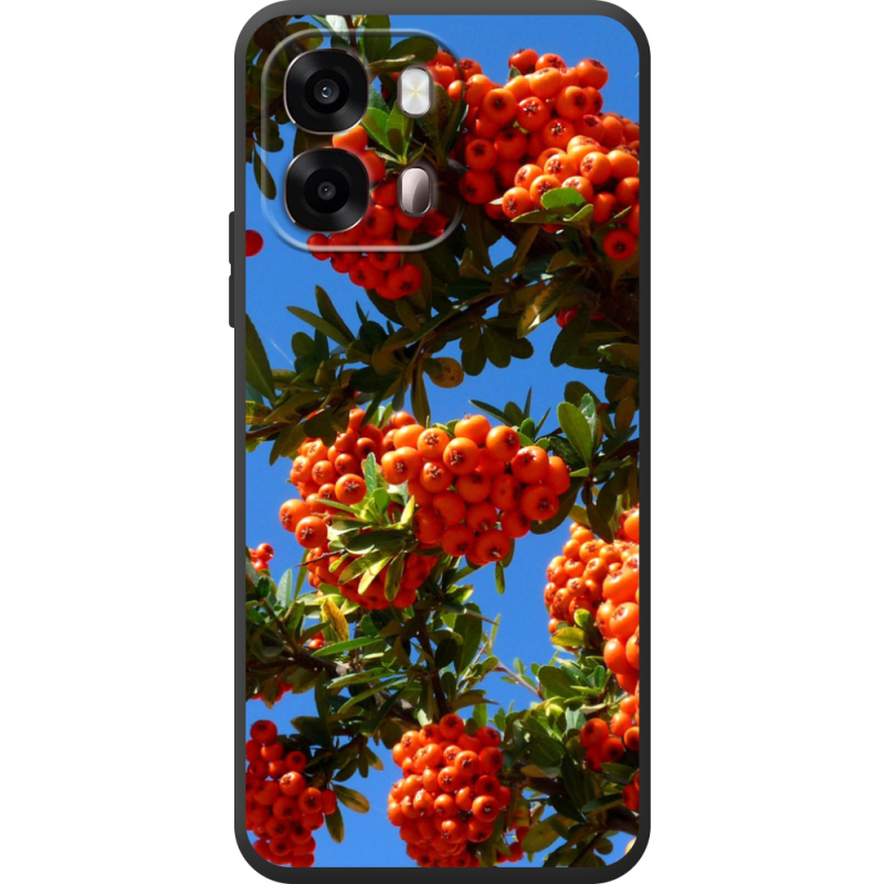 Чохол BoxFace OPPO A6s 4G 