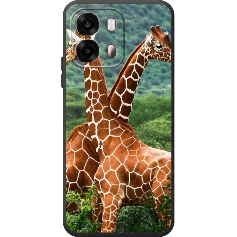 Чохол BoxFace OPPO A6s 4G 