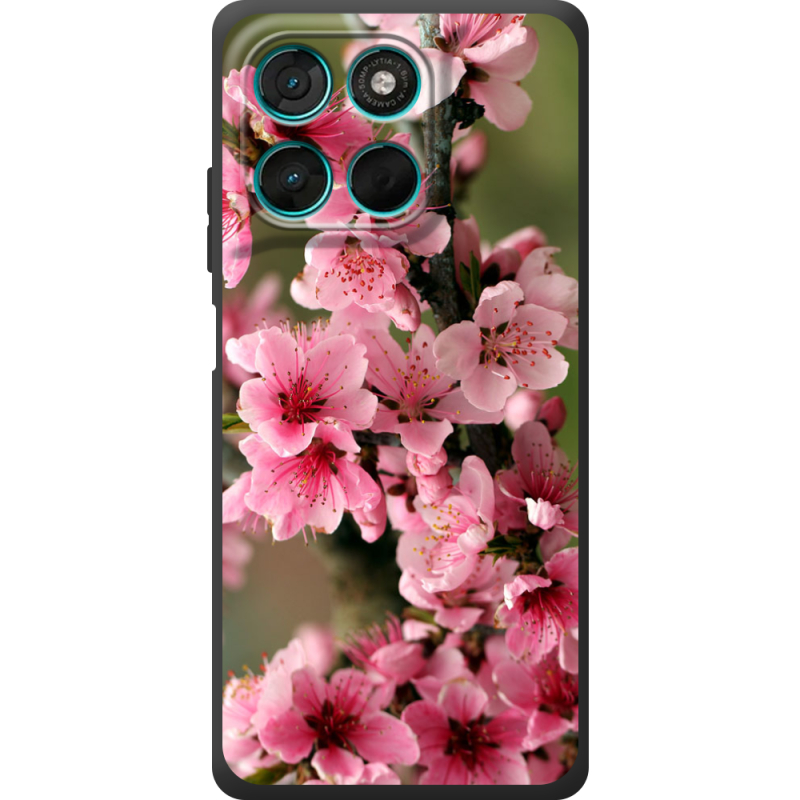 Чохол BoxFace Moto G77 Вишневые Цветы