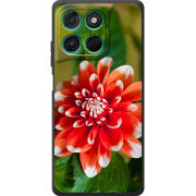 Чохол BoxFace Moto G77 