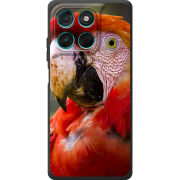 Чохол BoxFace Moto G77 