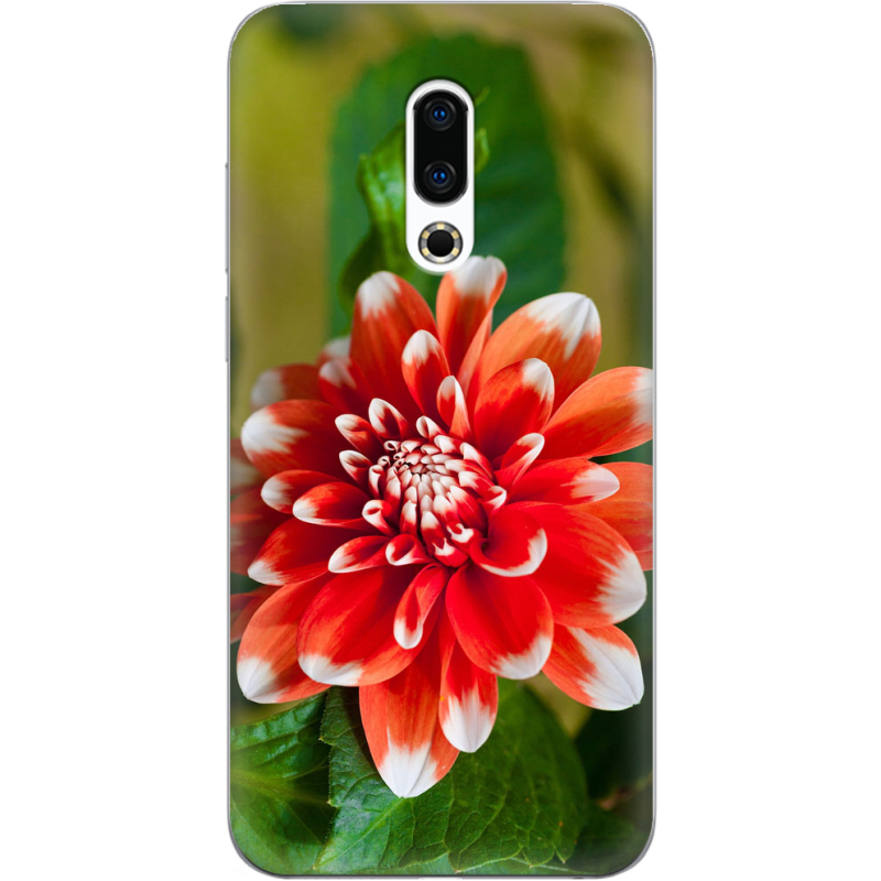 Чехол Uprint Meizu 16 Plus 