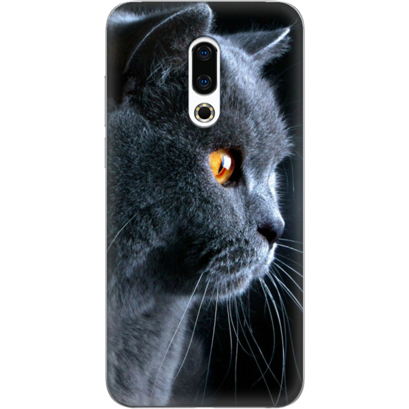 Чехол Uprint Meizu 16 Plus English cat