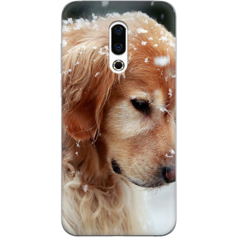 Чехол Uprint Meizu 16 Plus Golden Retriever
