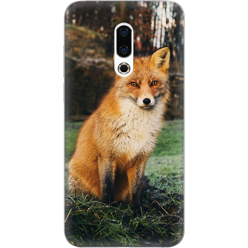 Чехол Uprint Meizu 16 Plus 