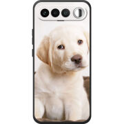 Чохол BoxFace Realme 16 5G Puppy Labrador