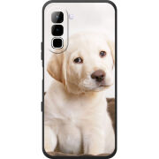 Чохол BoxFace Infinix Hot 70 Puppy Labrador