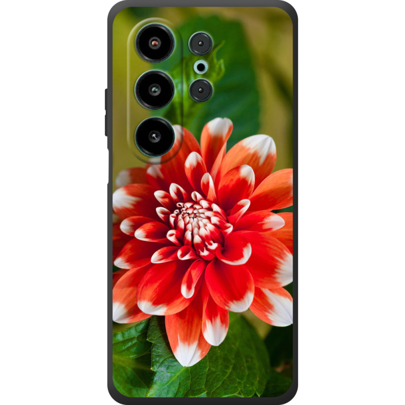 Чохол BoxFace Blackview Wave 10 