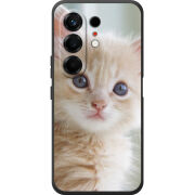 Чохол BoxFace Tecno Camon 50 Animation Kittens