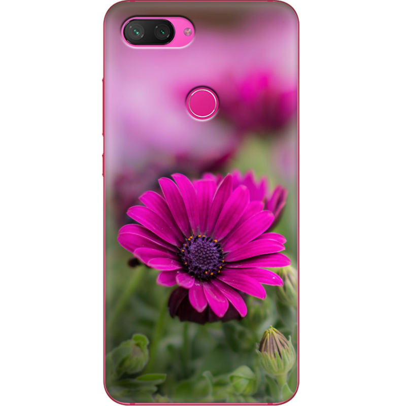 Чехол Uprint Xiaomi Mi 8 Lite 