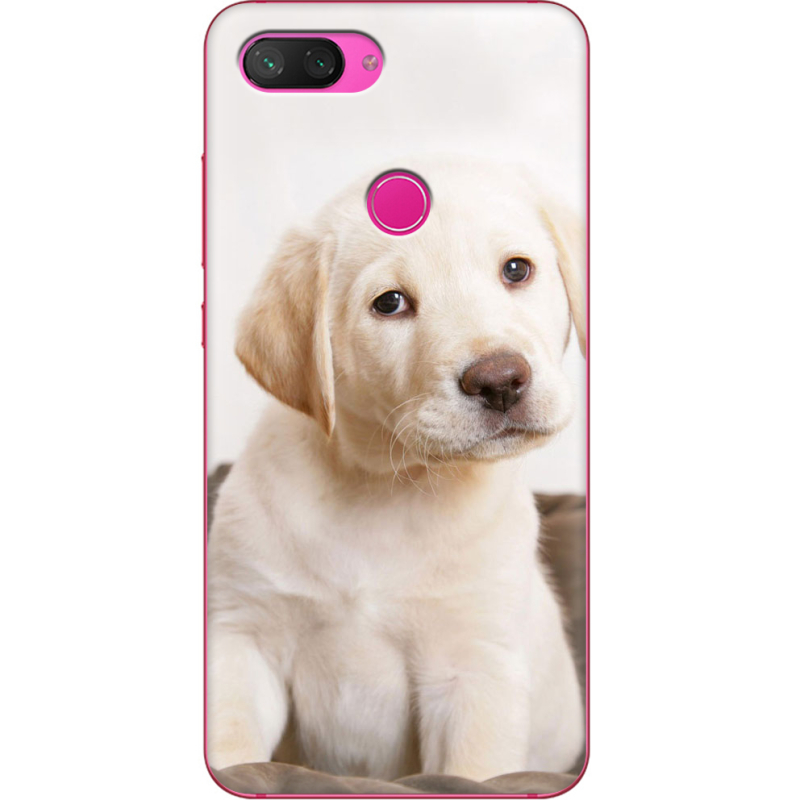 Чехол Uprint Xiaomi Mi 8 Lite Puppy Labrador