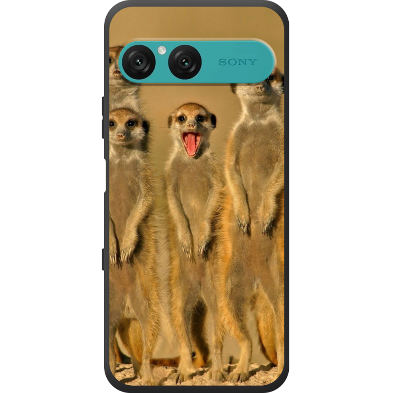 Чохол BoxFace Sony Xperia 10 VII 