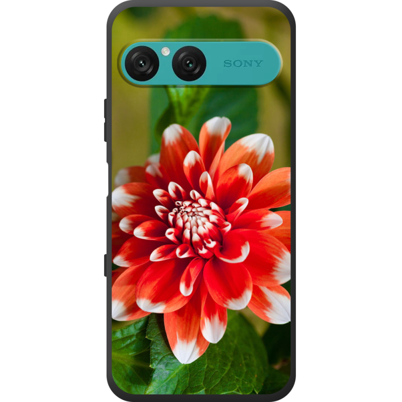 Чохол BoxFace Sony Xperia 10 VII 