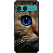 Чохол BoxFace Sony Xperia 10 VII Cat's Eye