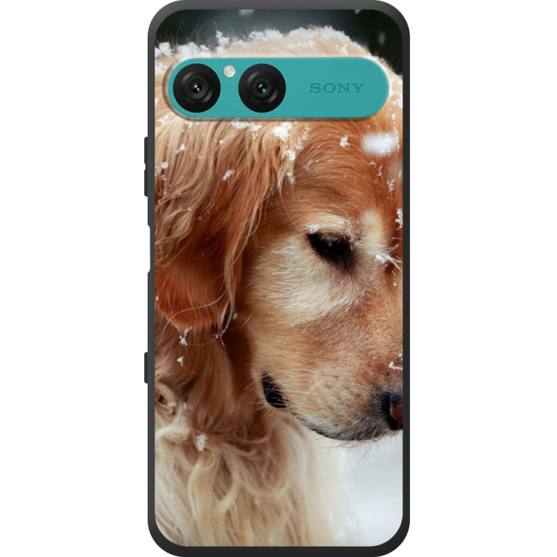 Чохол BoxFace Sony Xperia 10 VII Golden Retriever