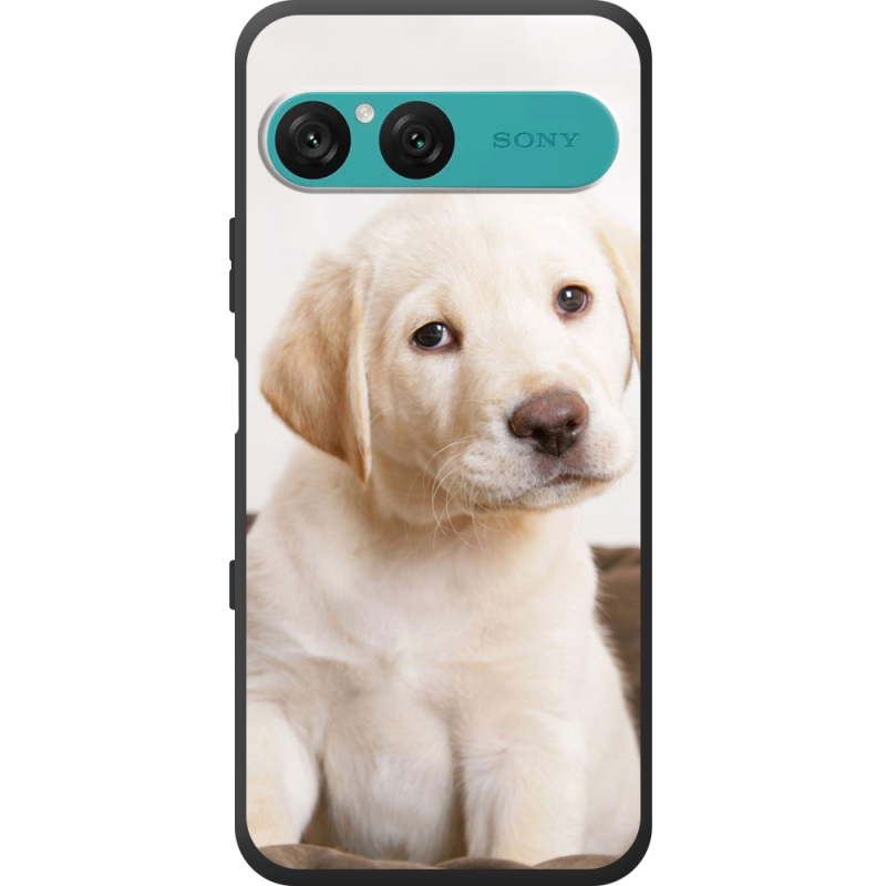 Чохол BoxFace Sony Xperia 10 VII Puppy Labrador