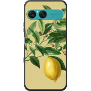 Чохол BoxFace Sony Xperia 10 VII 
