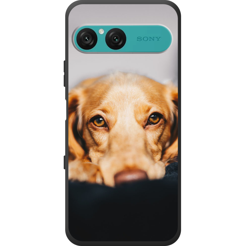 Чохол BoxFace Sony Xperia 10 VII 
