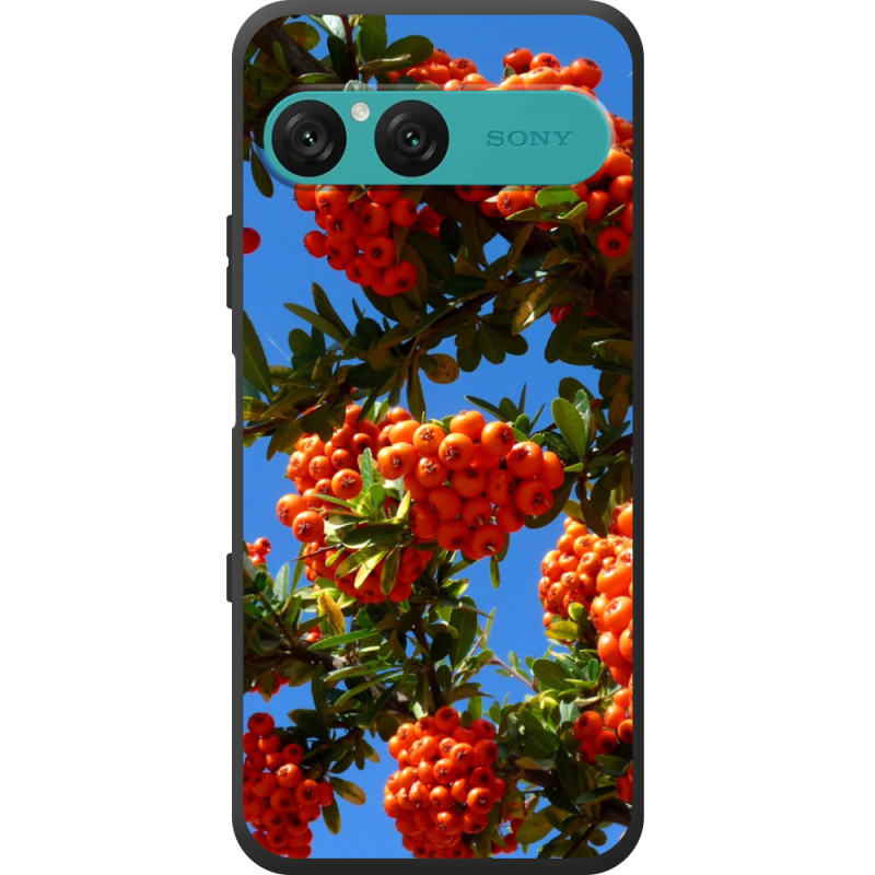 Чохол BoxFace Sony Xperia 10 VII 