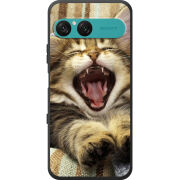 Чохол BoxFace Sony Xperia 10 VII 