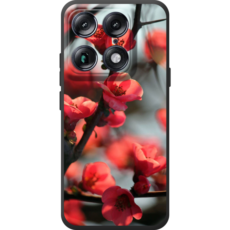 Чохол BoxFace Moto Signature Awakening Spring