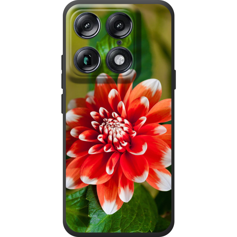 Чохол BoxFace Moto Signature 