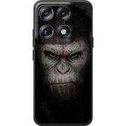 Чохол BoxFace Moto Signature 
