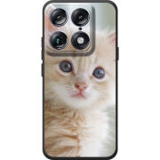 Чохол BoxFace Moto Signature Animation Kittens