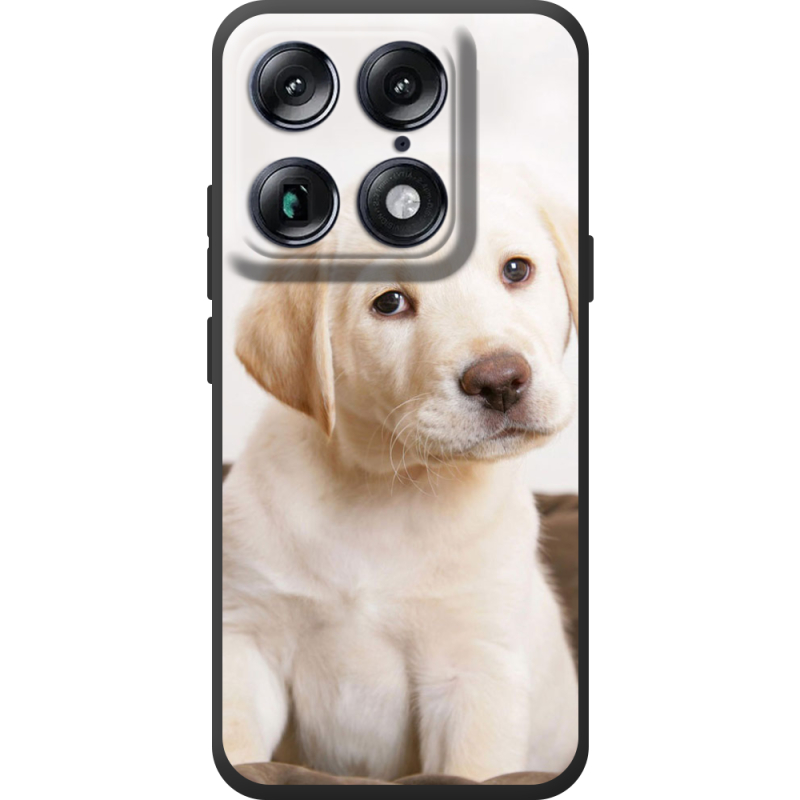 Чохол BoxFace Moto Signature Puppy Labrador