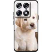 Чохол BoxFace Moto Signature Puppy Labrador
