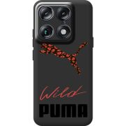 Прозорий чохол BoxFace Moto Signature Wild Cat