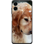 Чохол BoxFace Samsung Galaxy A08 (A085) Golden Retriever