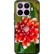 Чохол BoxFace Xiaomi 17T 