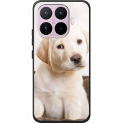 Чохол BoxFace Xiaomi 17T Puppy Labrador