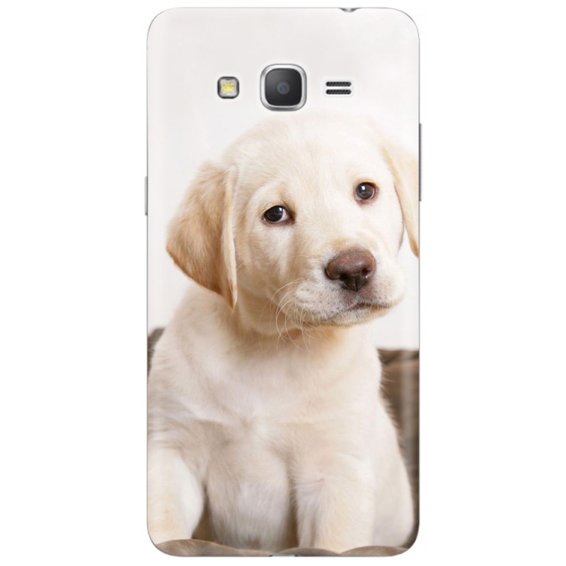 Чехол Uprint Samsung Galaxy Grand Prime G530H Puppy Labrador