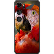 Чохол BoxFace Nubia Neo 5 GT 5G 