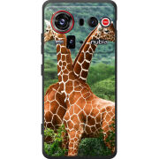Чохол BoxFace Nubia Z80 Ultra 