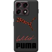 Прозорий чохол BoxFace Moto Edge 70 Pro Wild Cat