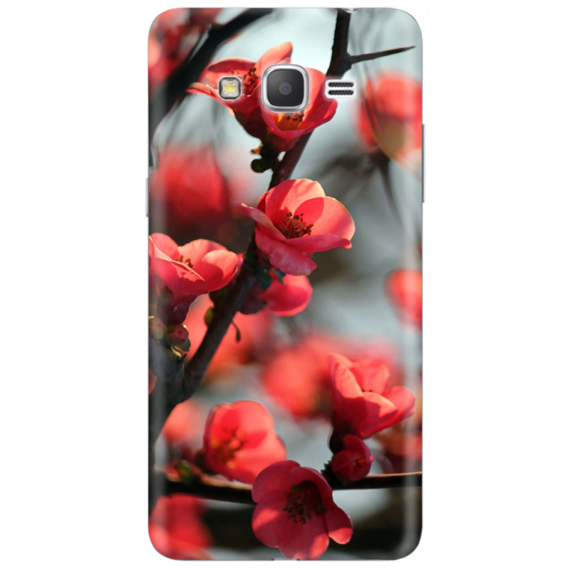 Чехол Uprint Samsung Galaxy Grand Prime G531H Awakening Spring