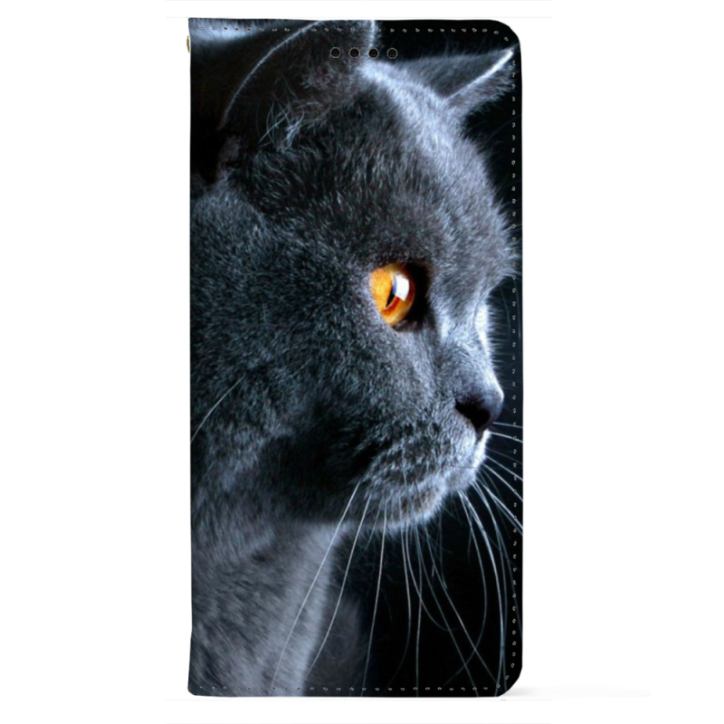 Чохол-книжка BoxFace для OnePlus Turbo 6 English cat