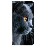Чохол-книжка BoxFace для OnePlus Turbo 6 English cat