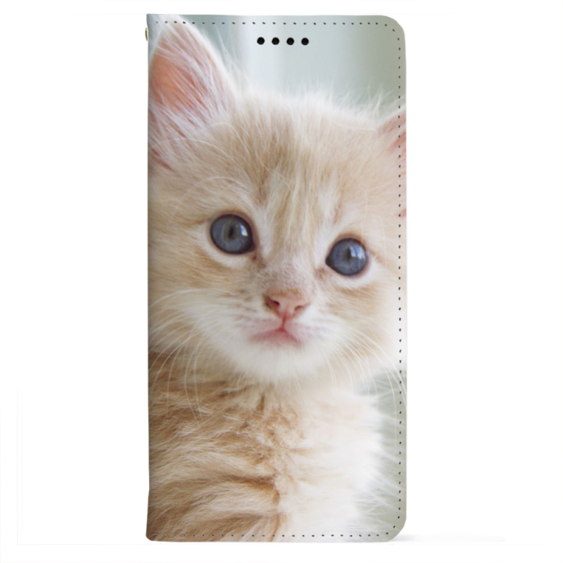 Чохол-книжка BoxFace для OnePlus Turbo 6 Animation Kittens